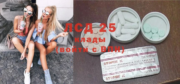 ПСИЛОЦИБИНОВЫЕ ГРИБЫ Карпинск