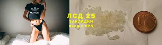 ПСИЛОЦИБИНОВЫЕ ГРИБЫ Карпинск