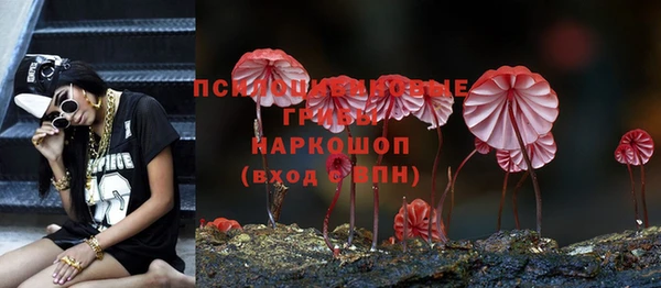 ПСИЛОЦИБИНОВЫЕ ГРИБЫ Карпинск