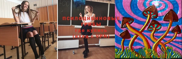 mdpv Карталы