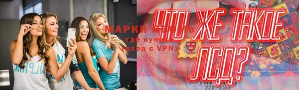 ПСИЛОЦИБИНОВЫЕ ГРИБЫ Карпинск
