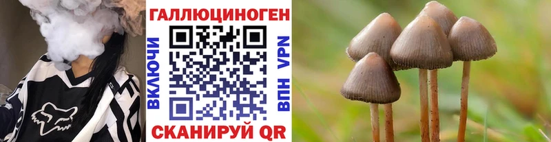 Купить Могоча Галлюциногенные грибы мицелий